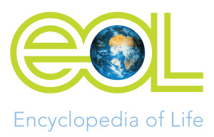 eol_logo_globe